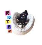 うたあおちゃん（個別スタンプ：7）