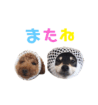 うたあおちゃん（個別スタンプ：26）