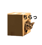 マロちんスタンプ！（個別スタンプ：7）