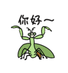 可愛い生き物たち中国語version（個別スタンプ：1）