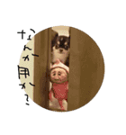 ここぴともなぴ（個別スタンプ：3）
