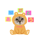 みいちゃんのねこ（個別スタンプ：10）