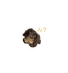 わんわんdogs（個別スタンプ：1）
