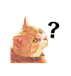 猫のももたくん（個別スタンプ：1）