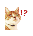 猫のももたくん（個別スタンプ：2）