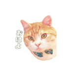 猫のももたくん（個別スタンプ：4）