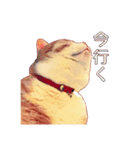 猫のももたくん（個別スタンプ：8）