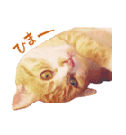 猫のももたくん（個別スタンプ：12）