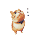 猫のももたくん（個別スタンプ：15）