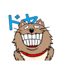 ドヤ顔犬（個別スタンプ：1）