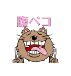 ドヤ顔犬（個別スタンプ：5）