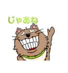 ドヤ顔犬（個別スタンプ：6）