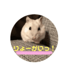 はむ〜スタンプ（個別スタンプ：5）