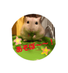 はむ〜スタンプ（個別スタンプ：6）