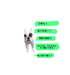 愛しのフレブル2（個別スタンプ：2）