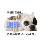 愛しのフレブル2（個別スタンプ：3）