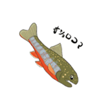 北海道の魚（個別スタンプ：3）