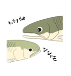 北海道の魚（個別スタンプ：4）