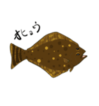 北海道の魚（個別スタンプ：6）
