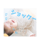 ibuta stamp（個別スタンプ：3）