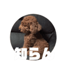 遠藤むん太くん（個別スタンプ：3）