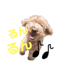 遠藤むん太くん（個別スタンプ：5）
