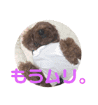 遠藤むん太くん（個別スタンプ：9）