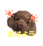 遠藤むん太くん（個別スタンプ：10）