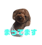 遠藤むん太くん（個別スタンプ：11）