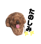 遠藤むん太くん（個別スタンプ：13）