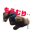 遠藤むん太くん（個別スタンプ：15）