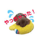遠藤むん太くん（個別スタンプ：17）