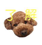 遠藤むん太くん（個別スタンプ：19）