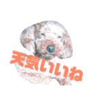 遠藤むん太くん（個別スタンプ：21）