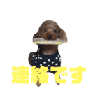 遠藤むん太くん（個別スタンプ：22）