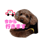 遠藤むん太くん（個別スタンプ：27）