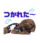 遠藤むん太くん（個別スタンプ：29）