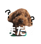 遠藤むん太くん（個別スタンプ：30）