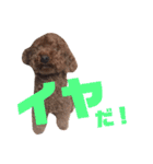 遠藤むん太くん（個別スタンプ：33）
