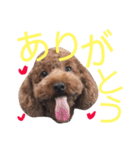 遠藤むん太くん（個別スタンプ：36）
