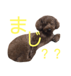 遠藤むん太くん（個別スタンプ：38）