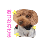 遠藤むん太くん（個別スタンプ：40）