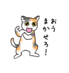 ありがとうと了解！の猫（個別スタンプ：8）