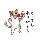 ありがとうと了解！の猫（個別スタンプ：14）