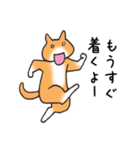 ありがとうと了解！の猫（個別スタンプ：24）