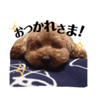 こんにちは！マックです。（個別スタンプ：2）