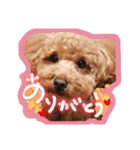 こんにちは！マックです。（個別スタンプ：5）