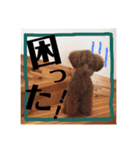 こんにちは！マックです。（個別スタンプ：8）