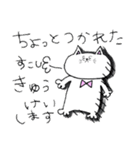 顔が中心によった猫（個別スタンプ：13）
