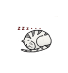 冷たい猫の言葉（個別スタンプ：5）